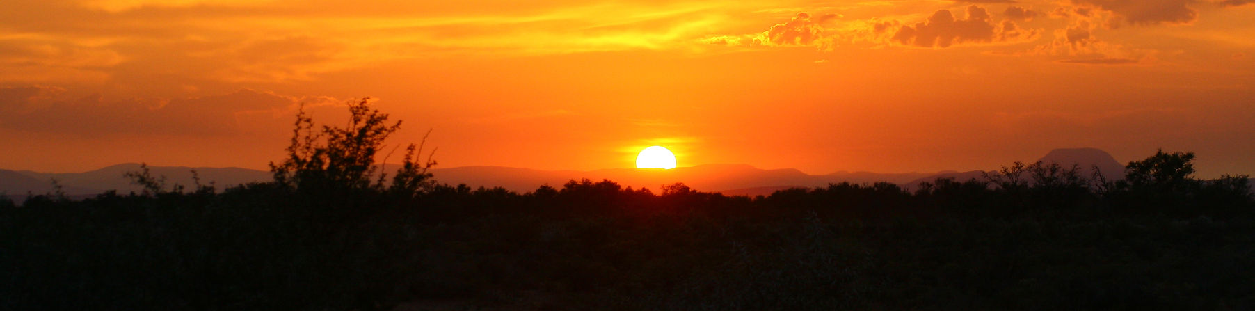 Inverdoorn Private Game Reserve