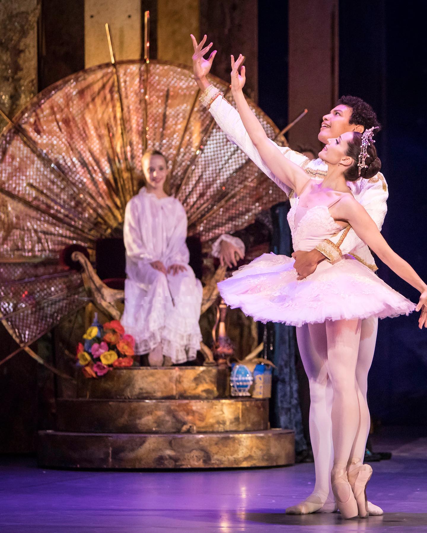 THE NUTCRACKER Events Cape Town Ring