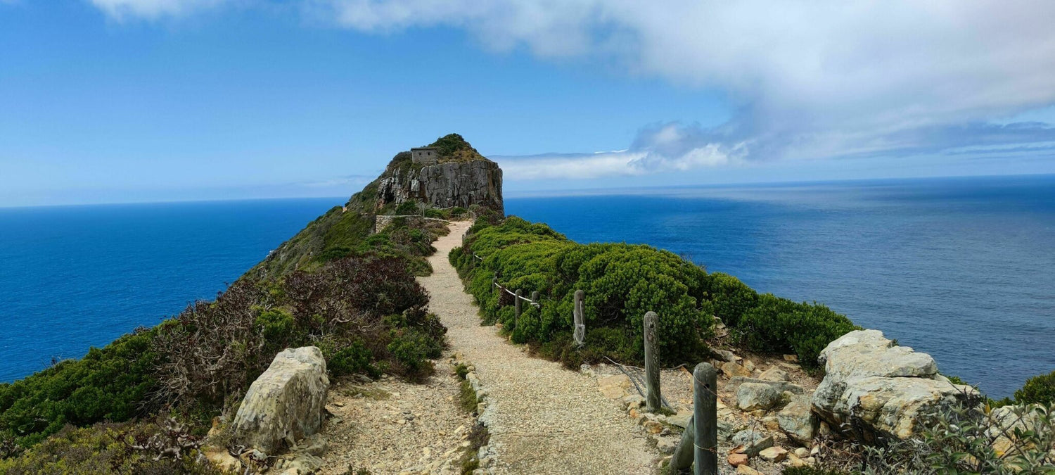 Top 5 Hiking Trails to Explore in Cape Town