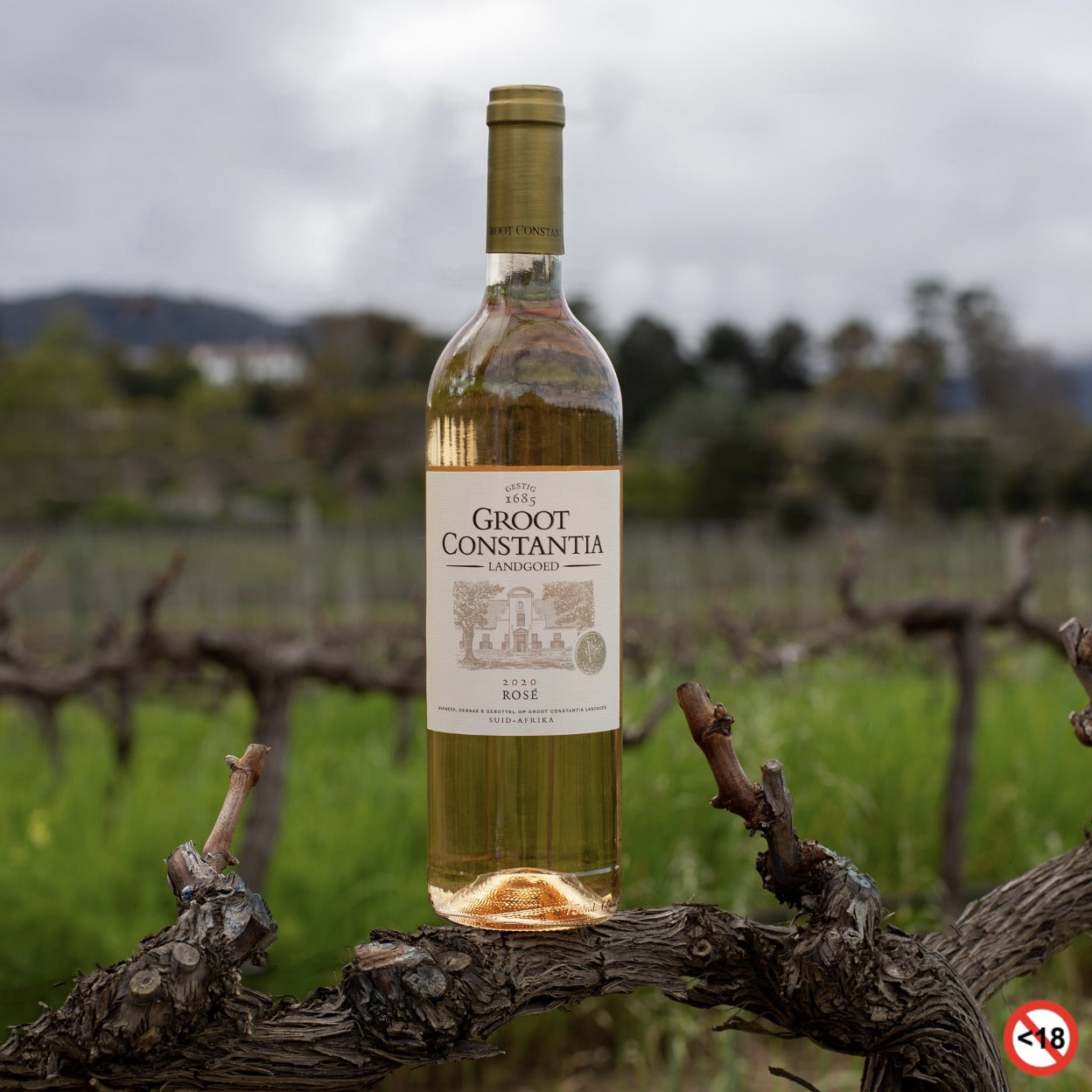Groot Constantia Cape Town  wines 