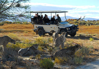 Inverdoorn Cape Town 