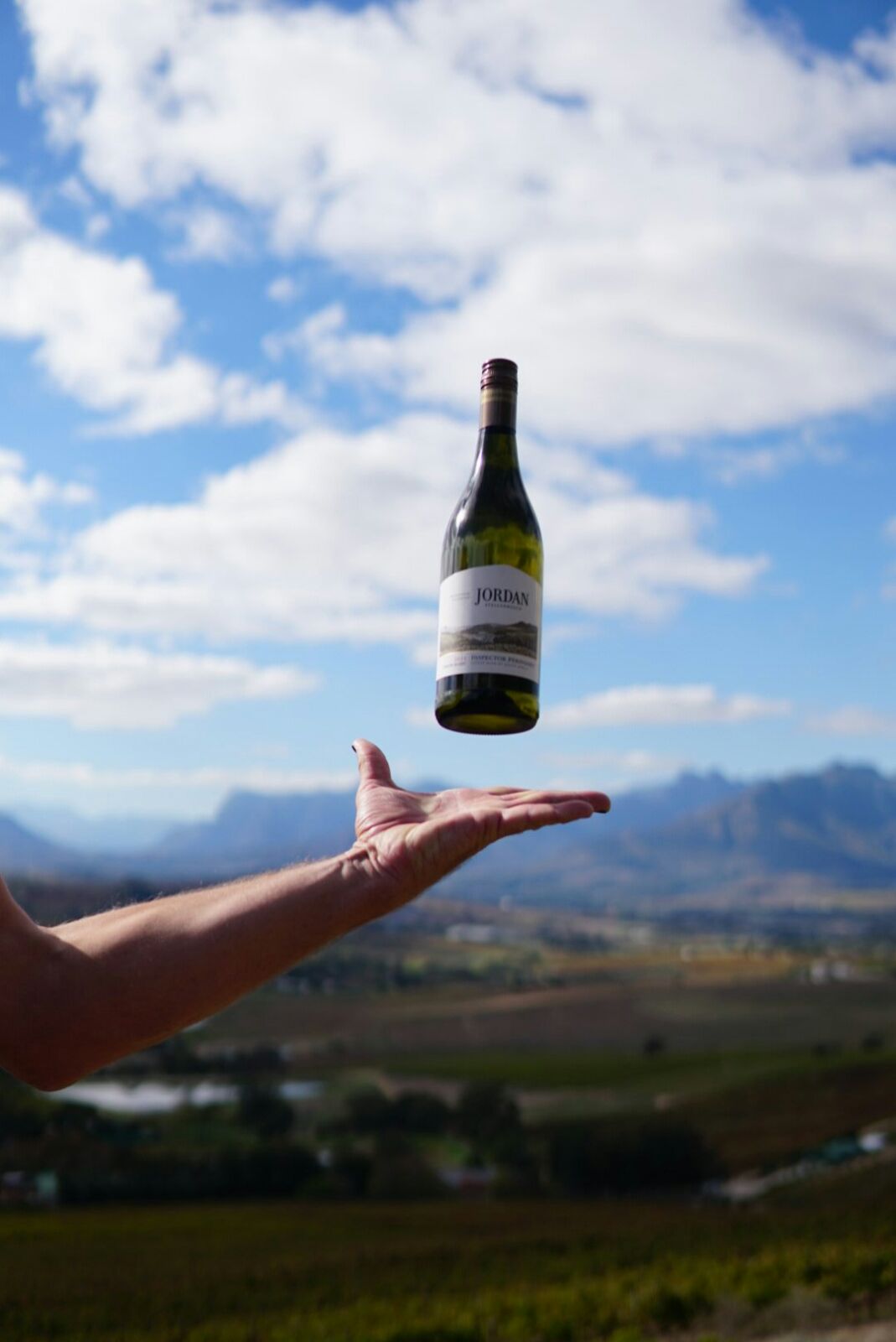 Jordan Wine Estate Cape Town 