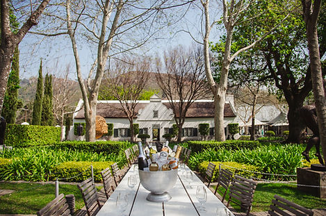 Cape Town wine Estate 