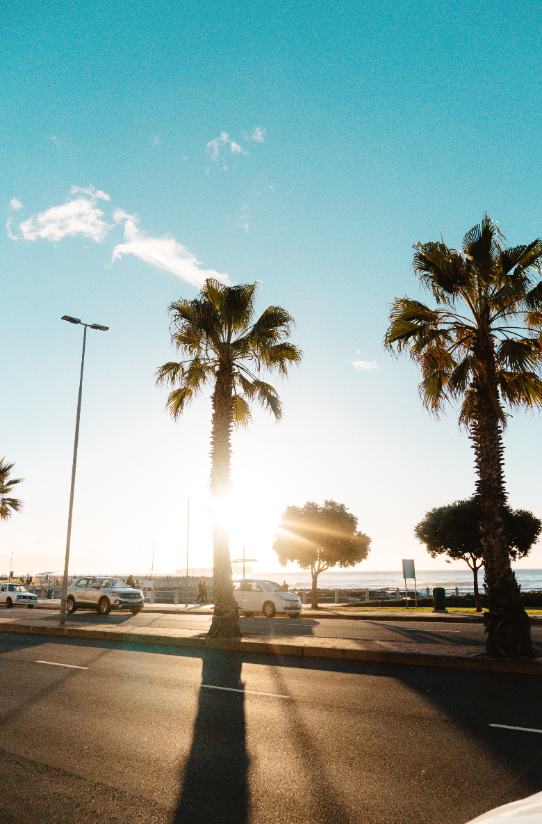 Sea Point Promenade Cape Town 