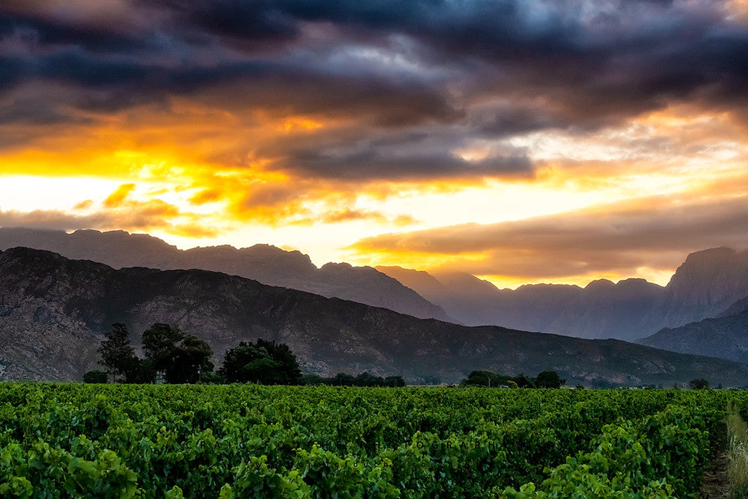 Deetlefs wine estate 