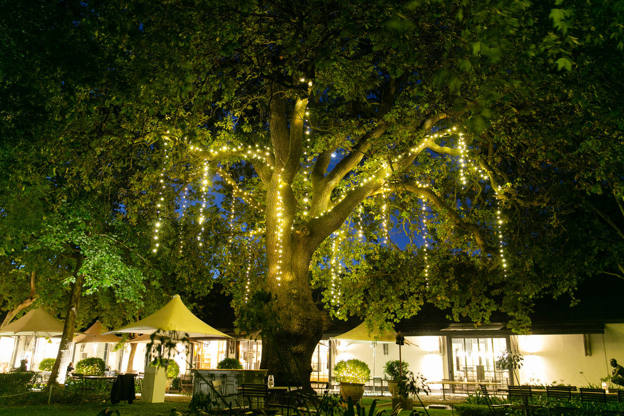 Grand Provence Cape Town 