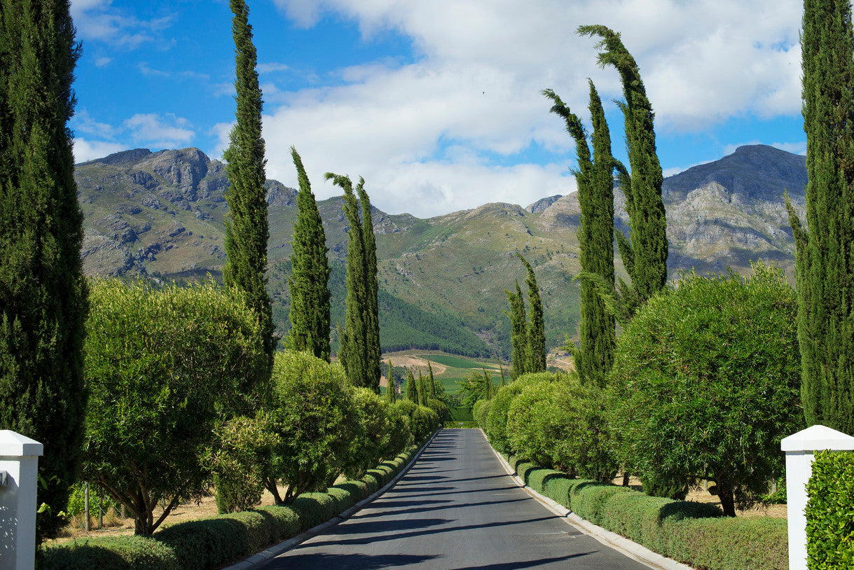 Grand Provence Cape Town 