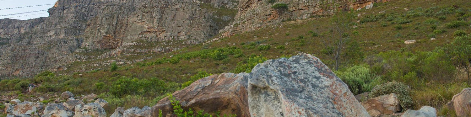 Table Mountain Cape Town 